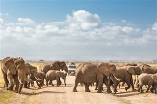 Tanzania