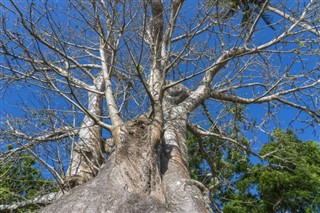 Tanzanija vremenske zone