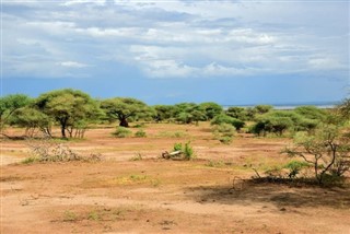 Tanzanie