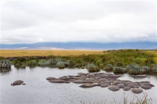 Tanzanija vremenske zone