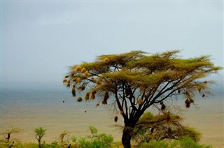Tanzanija