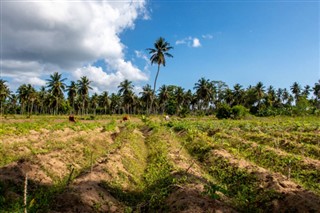 Tanzanie