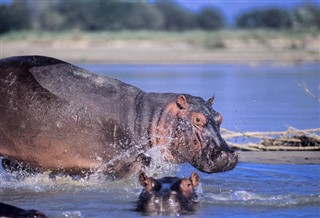 Tanzania