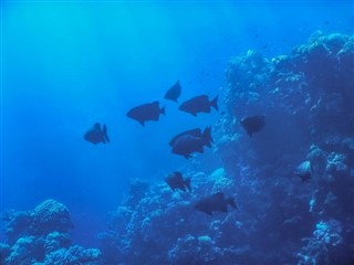 トケラウ諸島