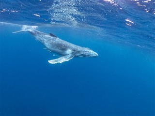 Tonga vremenske zone