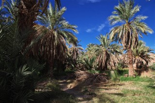 Tunisie