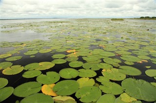 উগান্ডা