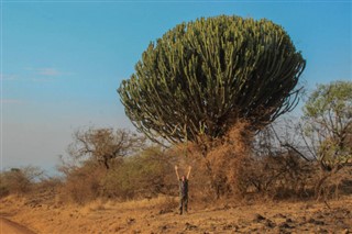 উগান্ডা