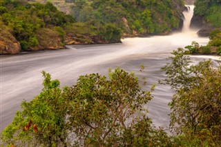 উগান্ডা