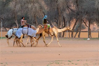 الإمارات