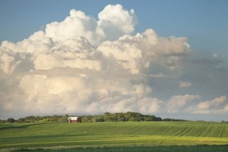 EUA