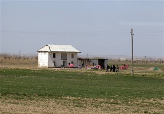 烏茲別克斯坦