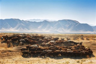 Özbekistan