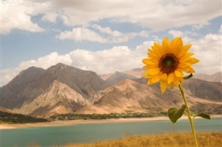 Özbekistan