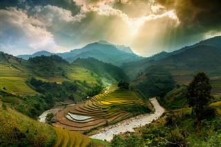 Vietnamas