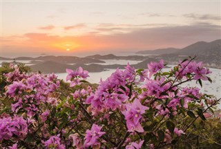 維爾京群島