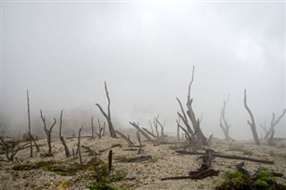 喚醒島