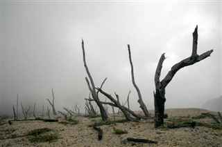 ウェーク島