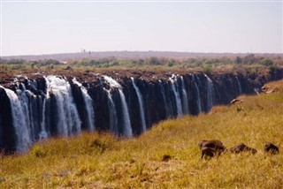 Zambia