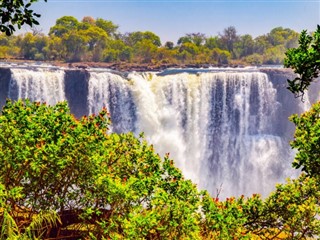 Zambia