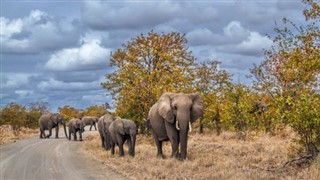 Zimbabue