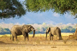 Zimbabue