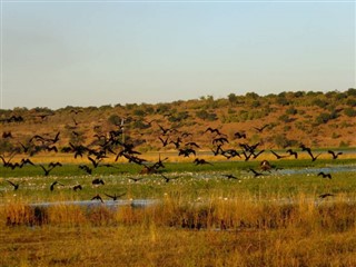 زيمبابوي