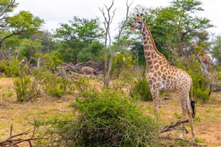 Zimbabvė