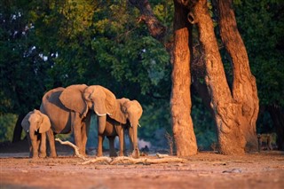 Zimbabue