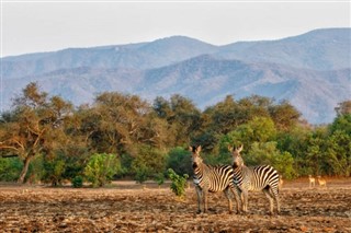 Zimbabue